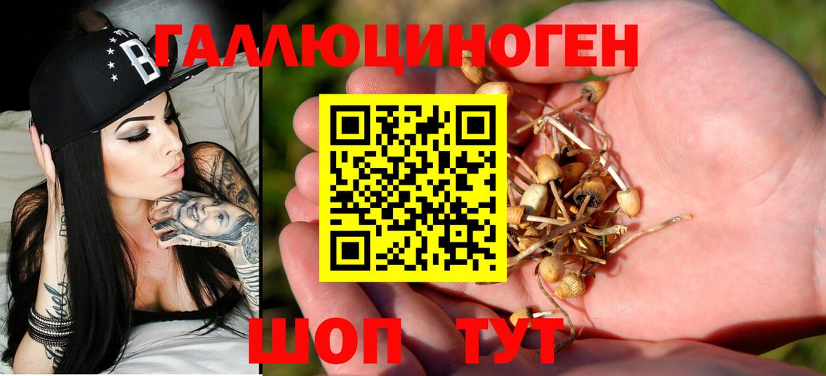 Псилоцибиновые грибы мицелий  Вход с VPN  Всеволожск 